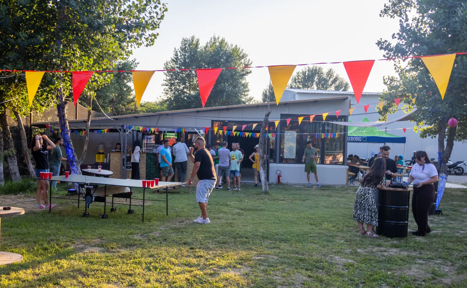 Atmosferă de festival în aer liber — fotografia 12